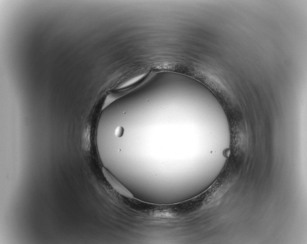 X0000096420262200801311418