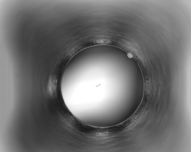 X0000096420263200801311418