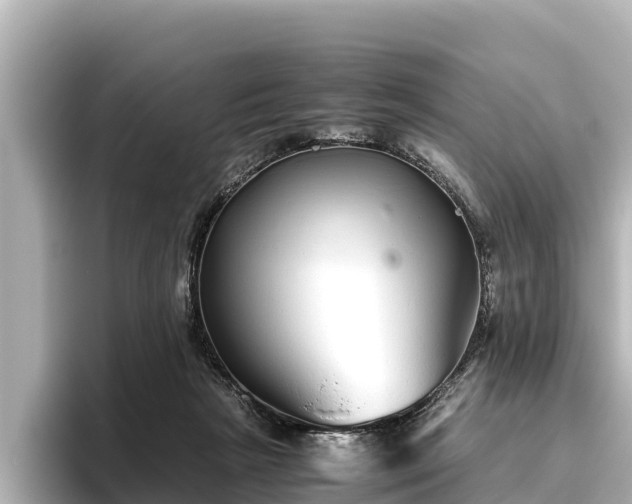 X0000096420265200801311418