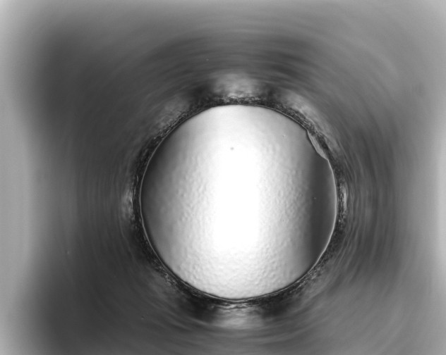 X0000096420269200801311418