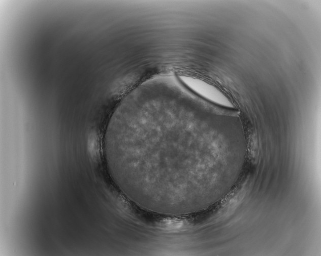 X0000096420272200801311418