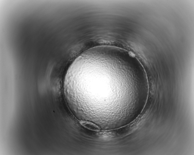 X0000096420273200801311418