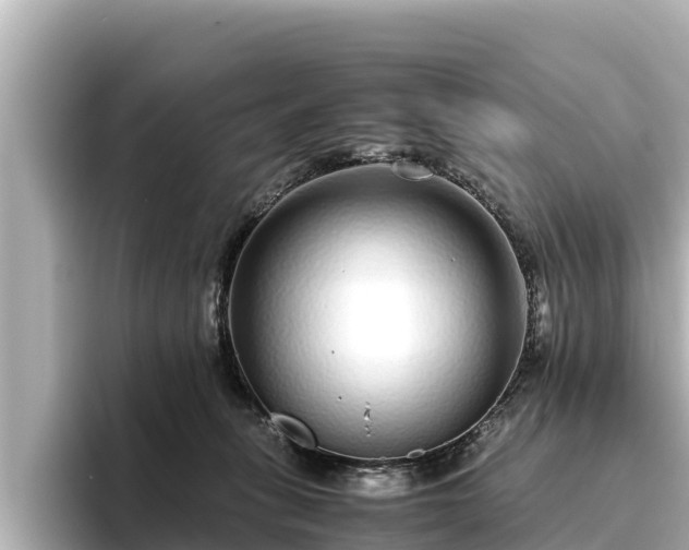 X0000096420275200801311418