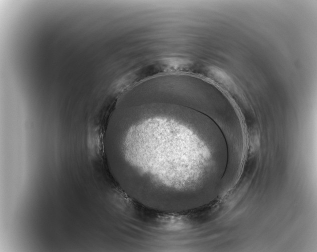 X0000096420276200801311418