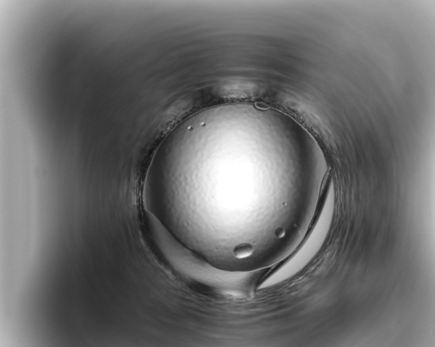 X0000096420277200801311418