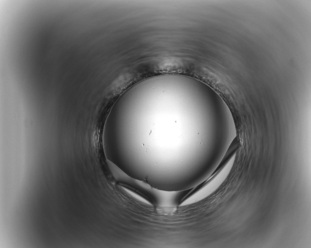 X0000096420278200801311418