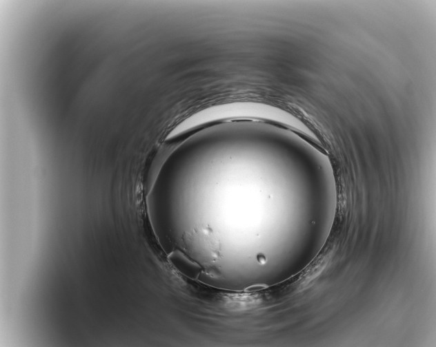 X0000096420281200801311418