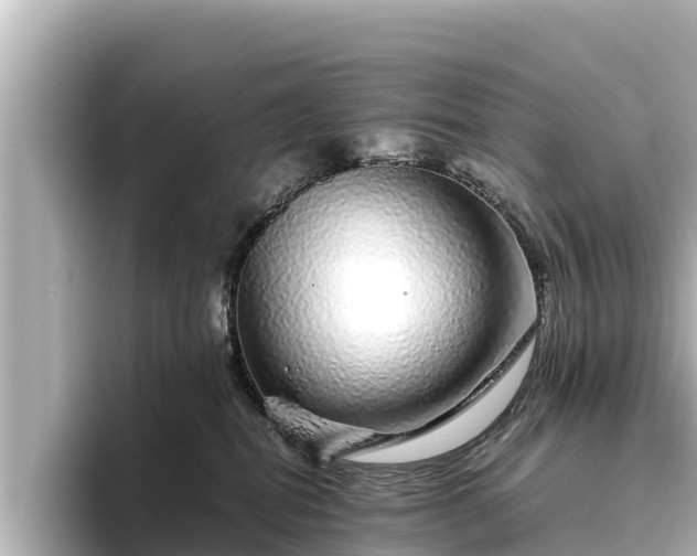 X0000096420282200801311418