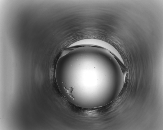 X0000096420283200801311418