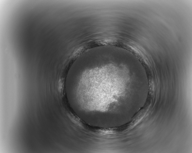 X0000096420284200801311418