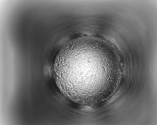 X0000096420285200801311418