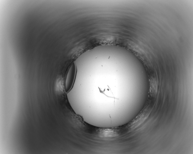 X0000096420287200801311418