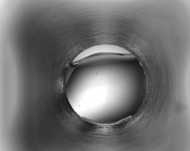 X0000096420288200801311418