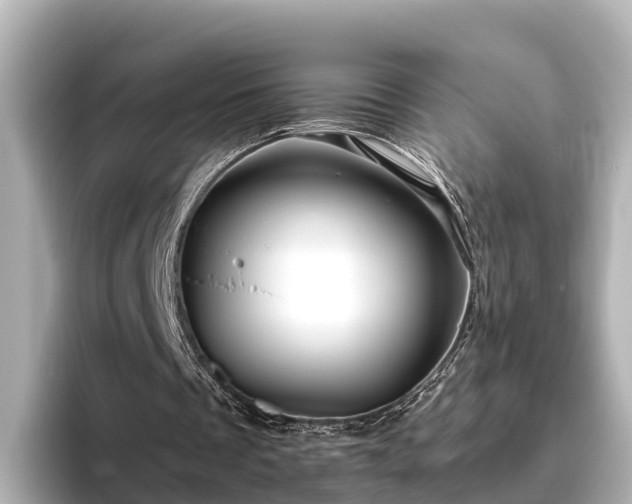 X0000096420289200801311418