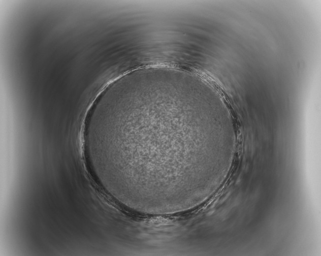 X0000096420290200801311418