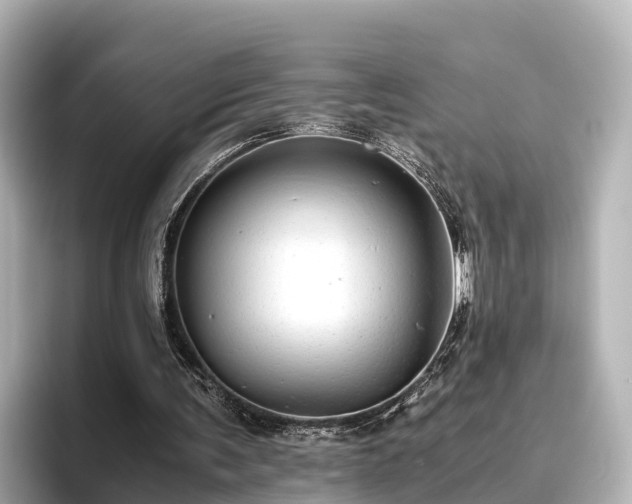 X0000096420291200801311418