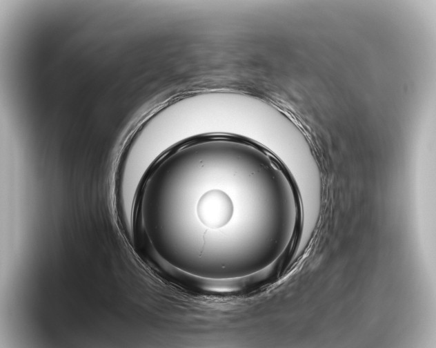 X0000096420293200801311418