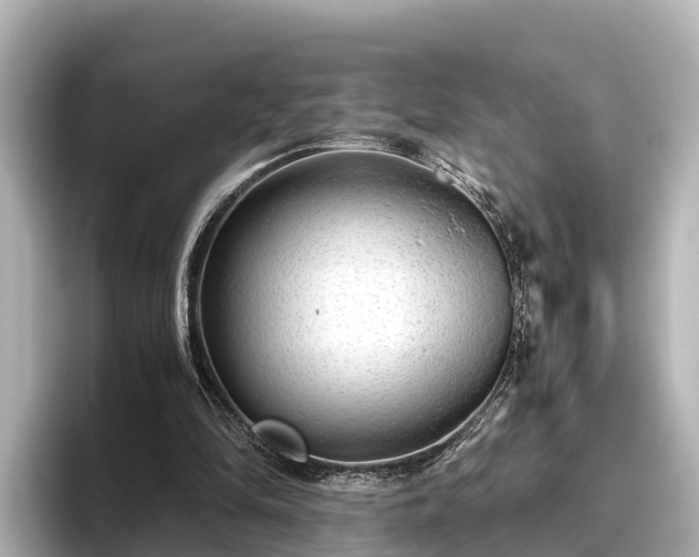 X0000096420294200801311418