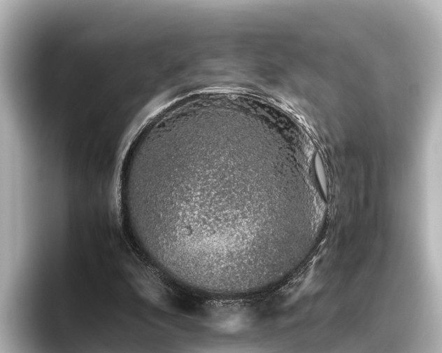 X0000096420296200801311418