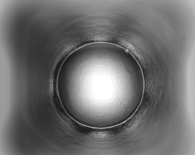 X0000096420299200801311418