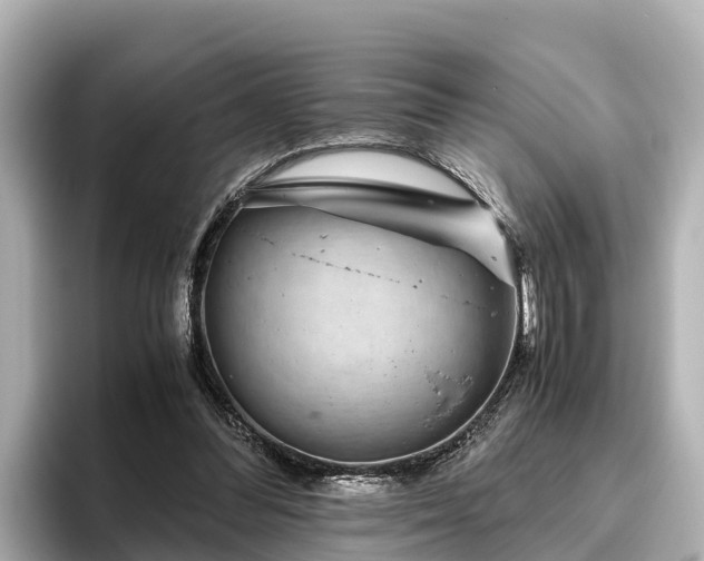 X0000096420300200801311418