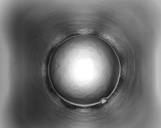 X0000096420303200801311418