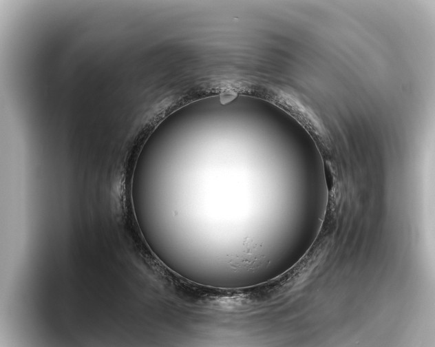 X0000096420306200801311418