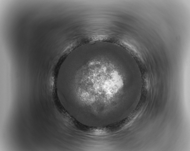 X0000096420308200801311417