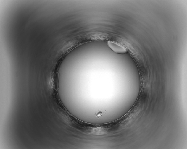 X0000096420309200801311417