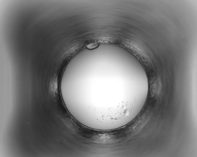 X0000096420310200801311417