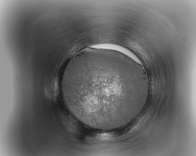 X0000096420312200801311417