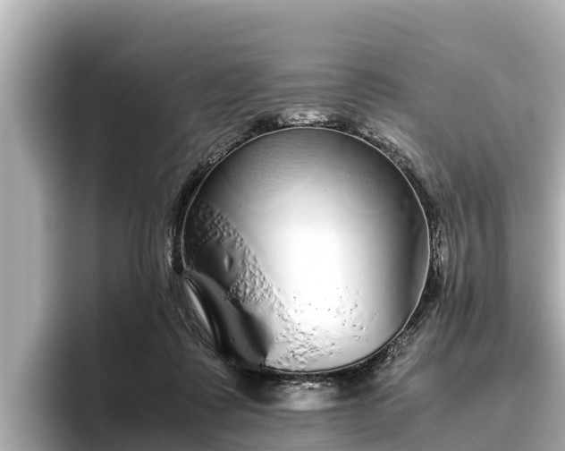 X0000096420315200801311417