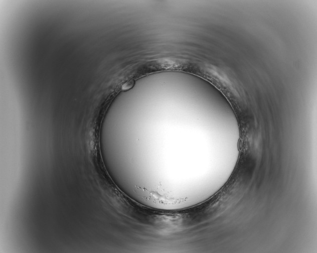 X0000096420317200801311417