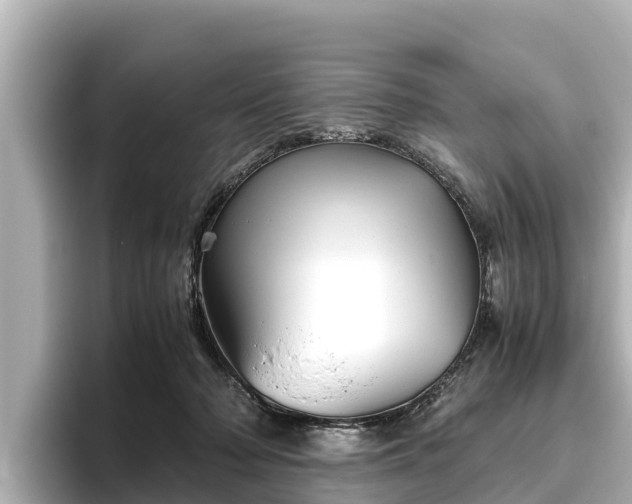 X0000096420318200801311417