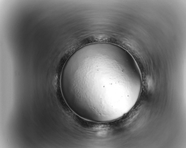 X0000096420319200801311417