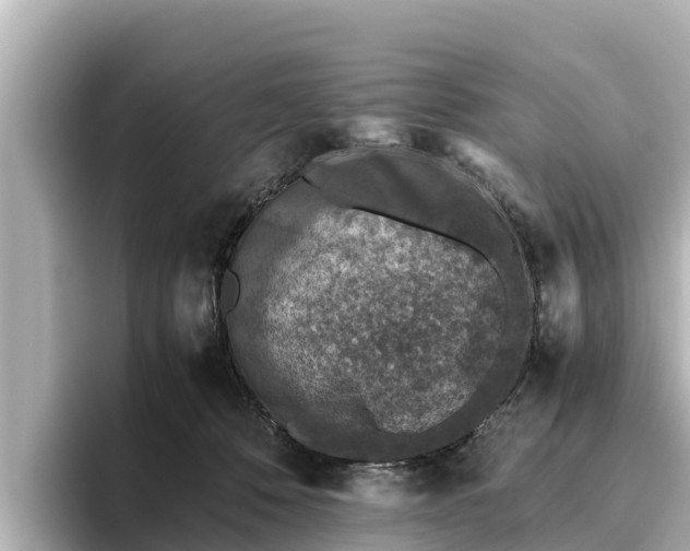 X0000096420320200801311417