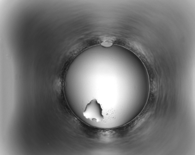 X0000096420321200801311417