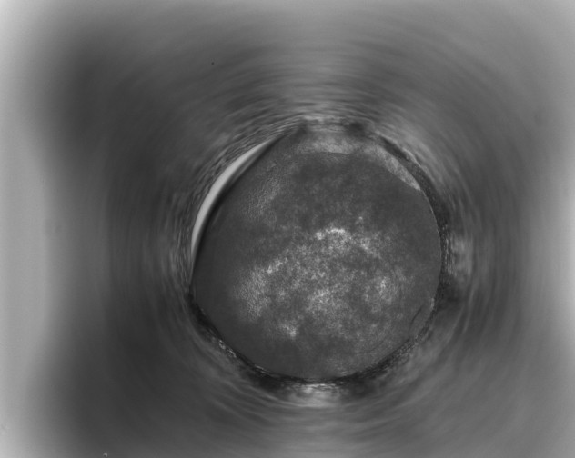 X0000096420324200801311417