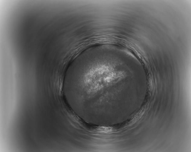 X0000096420328200801311417