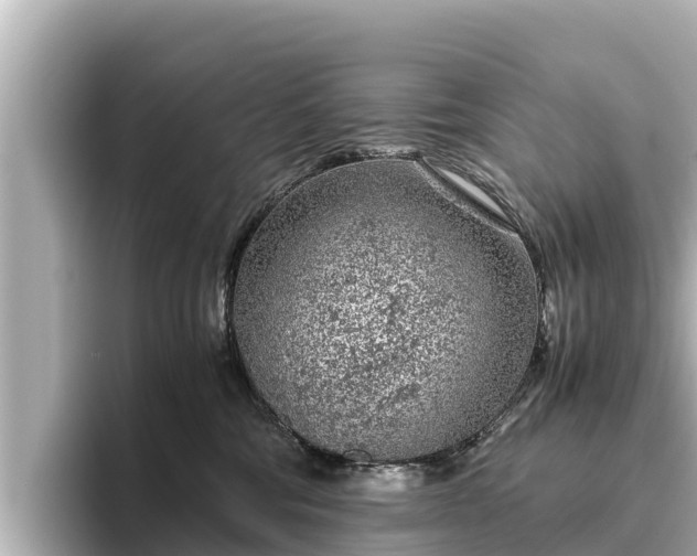 X0000096420330200801311417