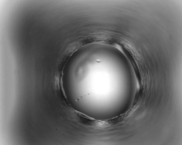 X0000096420333200801311417