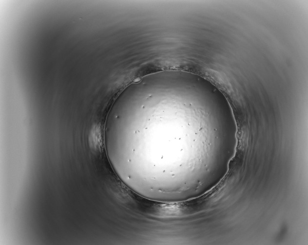 X0000096420335200801311417