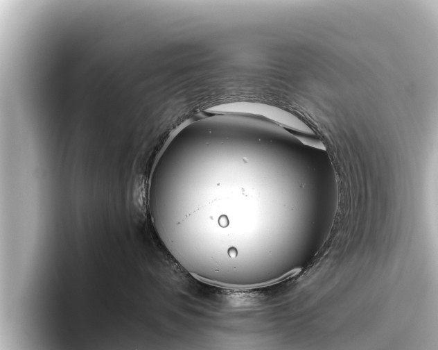 X0000096420336200801311417