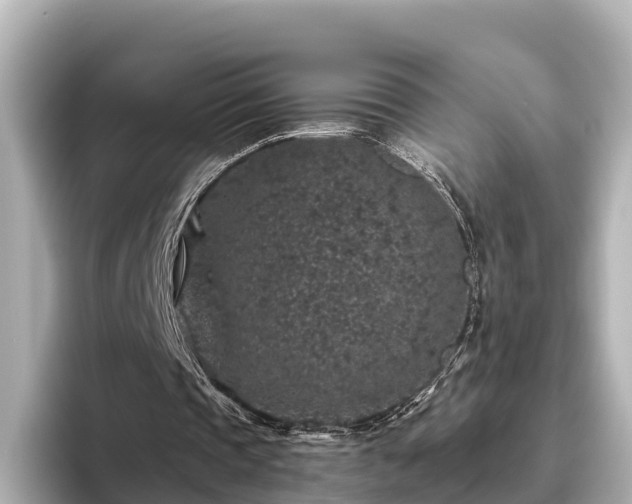 X0000096420337200801311417