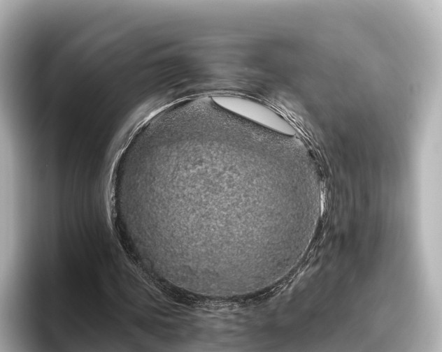 X0000096420339200801311417