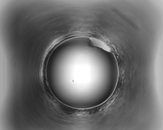 X0000096420340200801311417