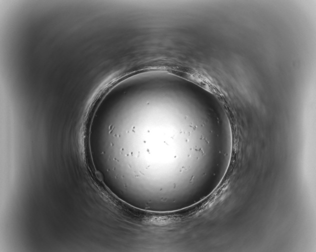 X0000096420341200801311417