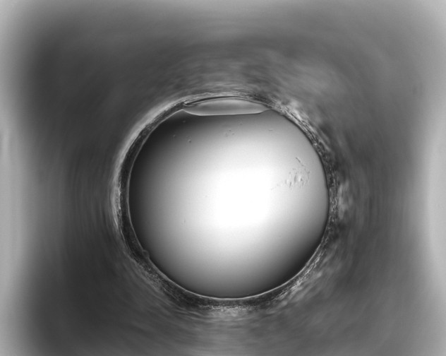 X0000096420342200801311417