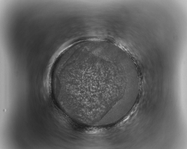 X0000096420343200801311417