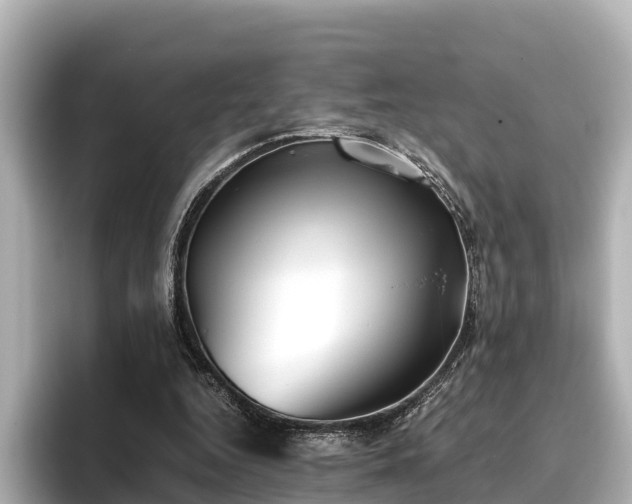 X0000096420344200801311417